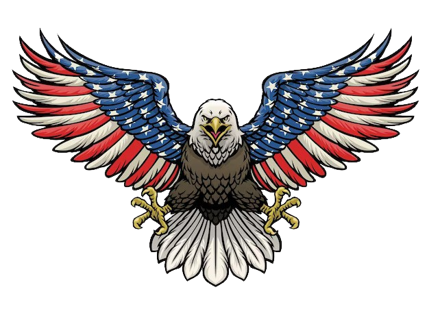 american_bald_eagle